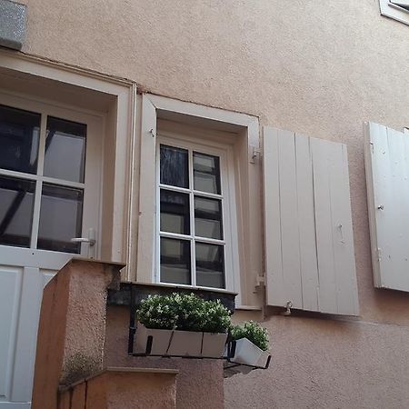 Colmar City Center Little Venise - Gite De Lea - エクステリア 写真